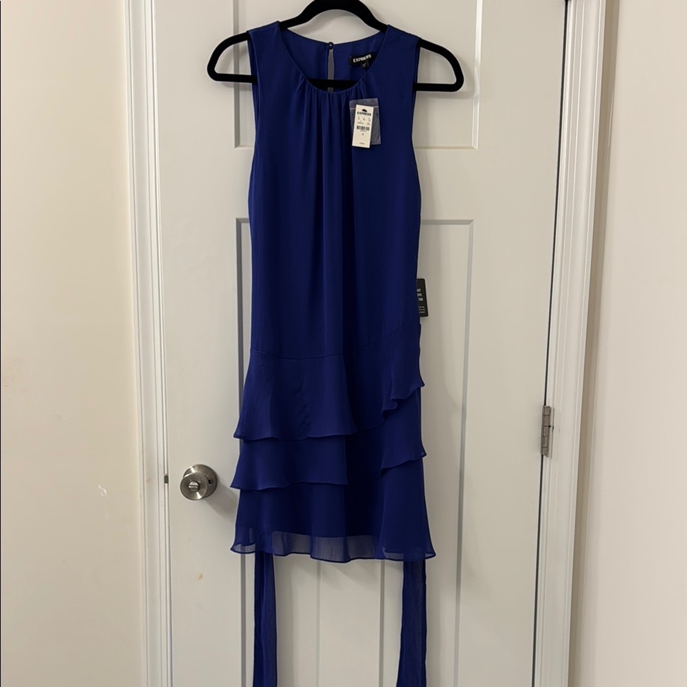Express Blue Ruched Dress - Picture 5 of 6